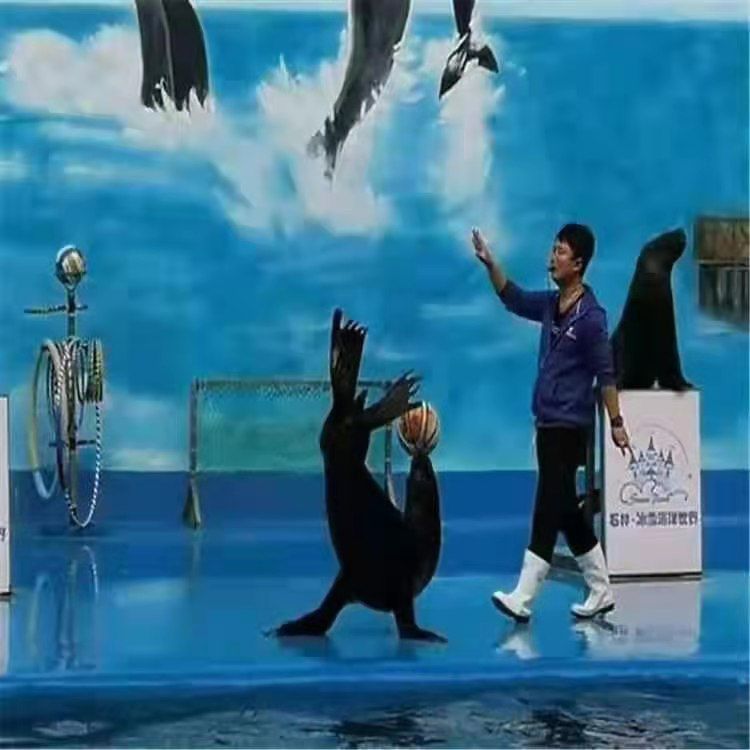 宣化海狮表演